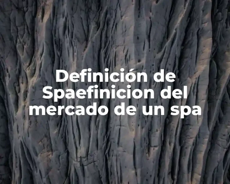 Definición de Spaefinicion del mercado de un spa