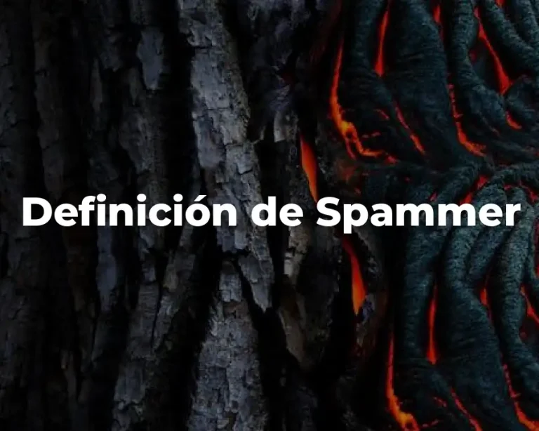 Definición de Spammer