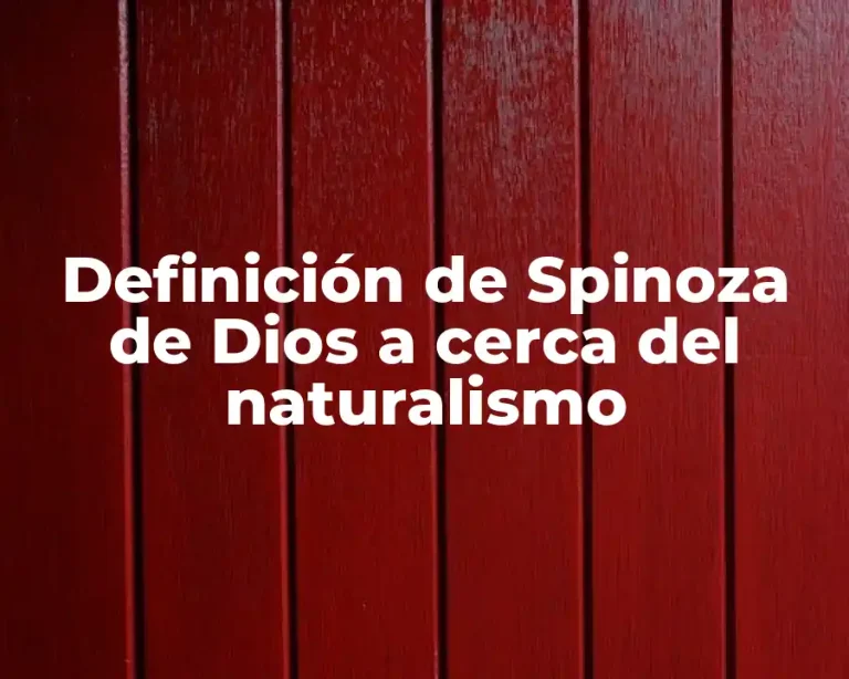 Definición de Spinoza de Dios a cerca del naturalismo