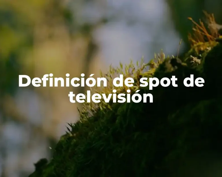 Definición de spot de televisión