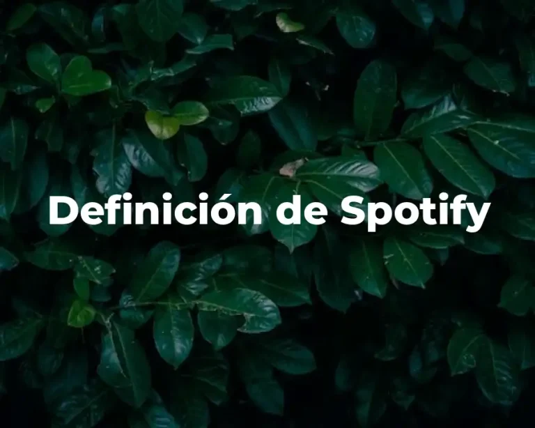 Definición de Spotify