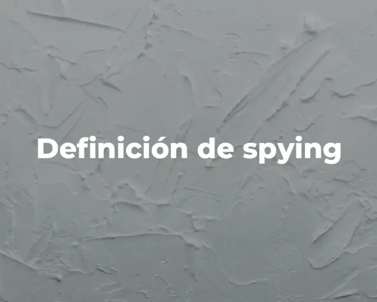 Definición de spying