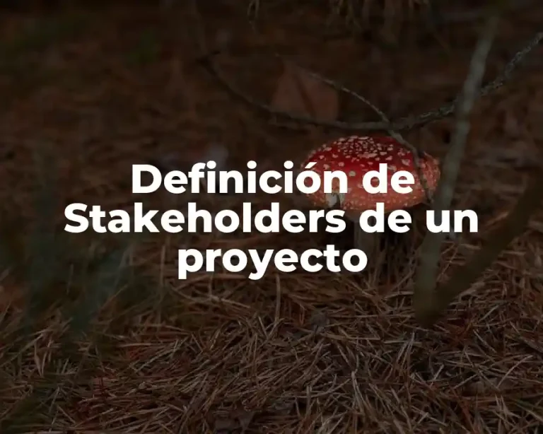 Definición de Stakeholders de un proyecto