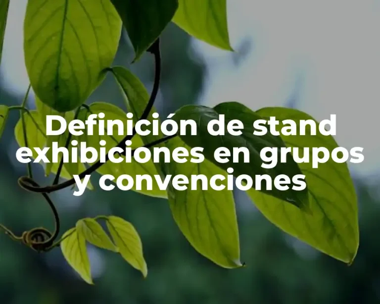 Definición de stand exhibiciones en grupos y convenciones