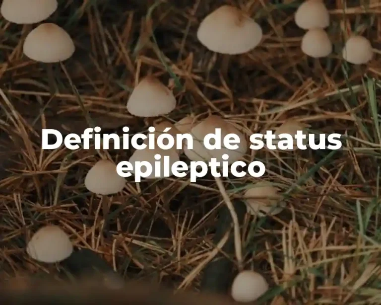 Definición de status epileptico
