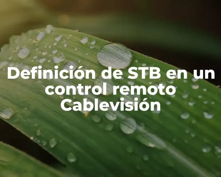 Definición de STB en un control remoto Cablevisión