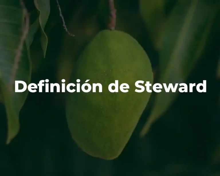 Definición de Steward