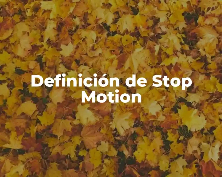 Definición de Stop Motion