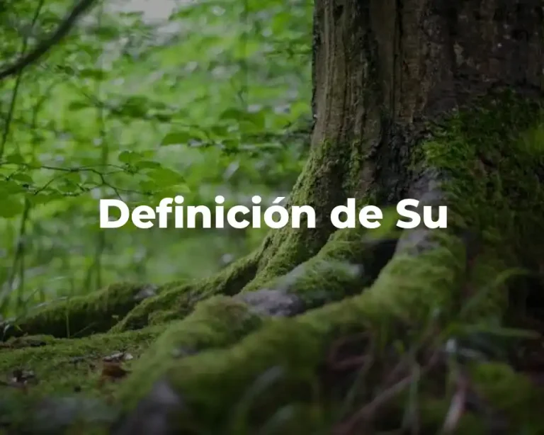 Definición de Su