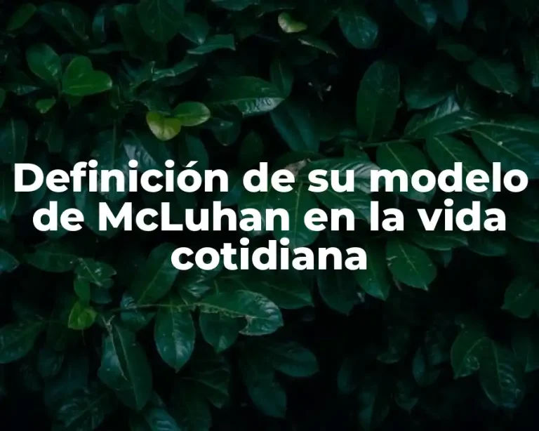 Definición de su modelo de McLuhan en la vida cotidiana