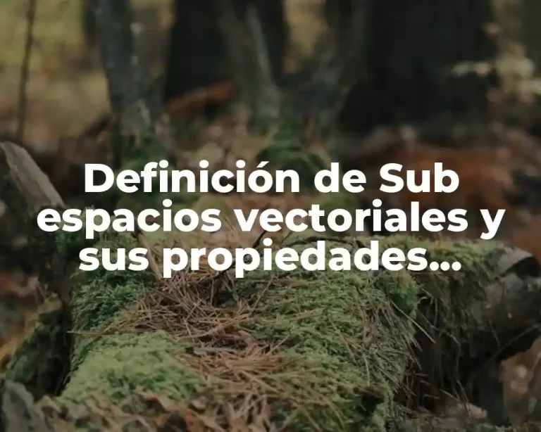 Definición de Sub espacios vectoriales y sus propiedades ejercicios