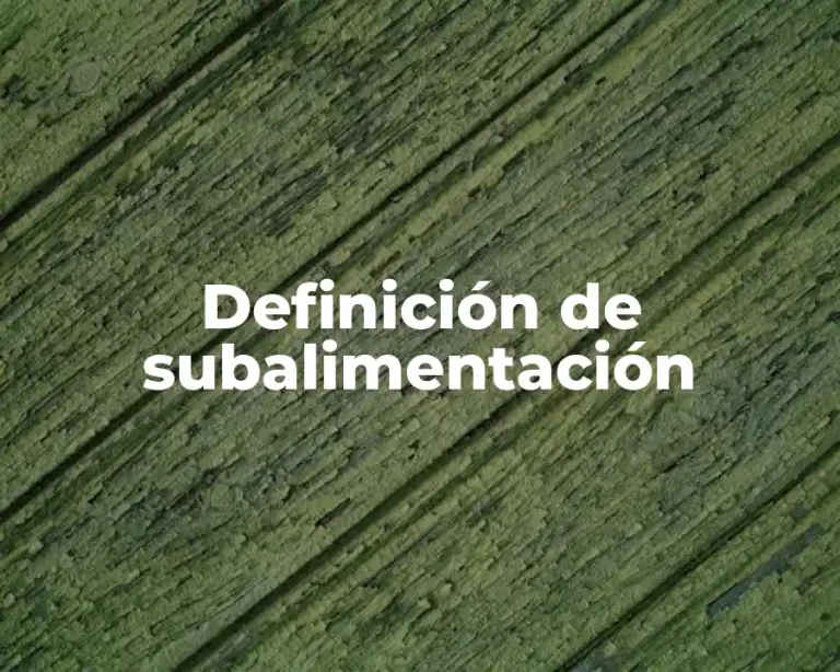 Definición de subalimentación