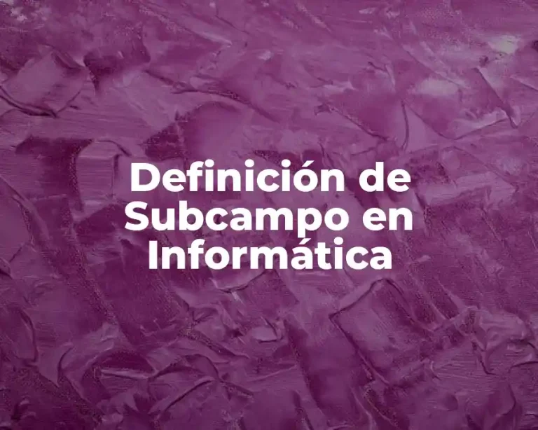Definición de Subcampo en Informática