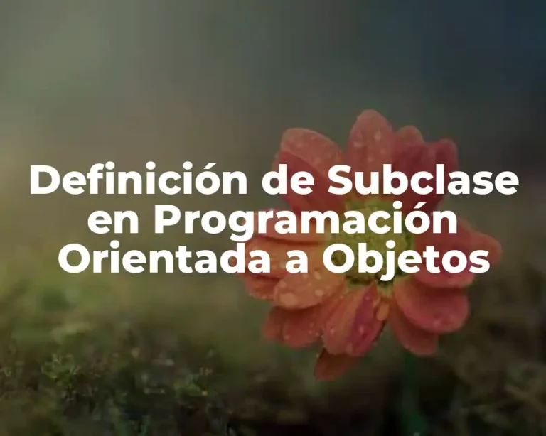 Definición de Subclase en Programación Orientada a Objetos