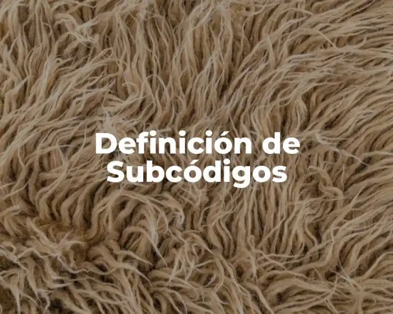 Definición de Subcódigos