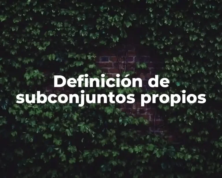 Definición de subconjuntos propios