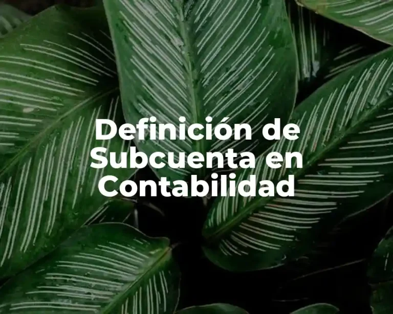 Definición de Subcuenta en Contabilidad