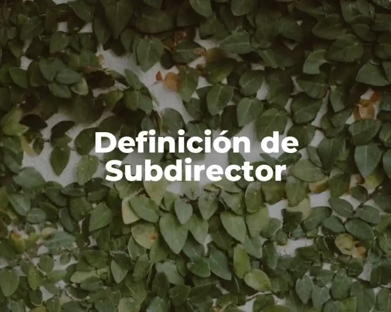 Definición de Subdirector