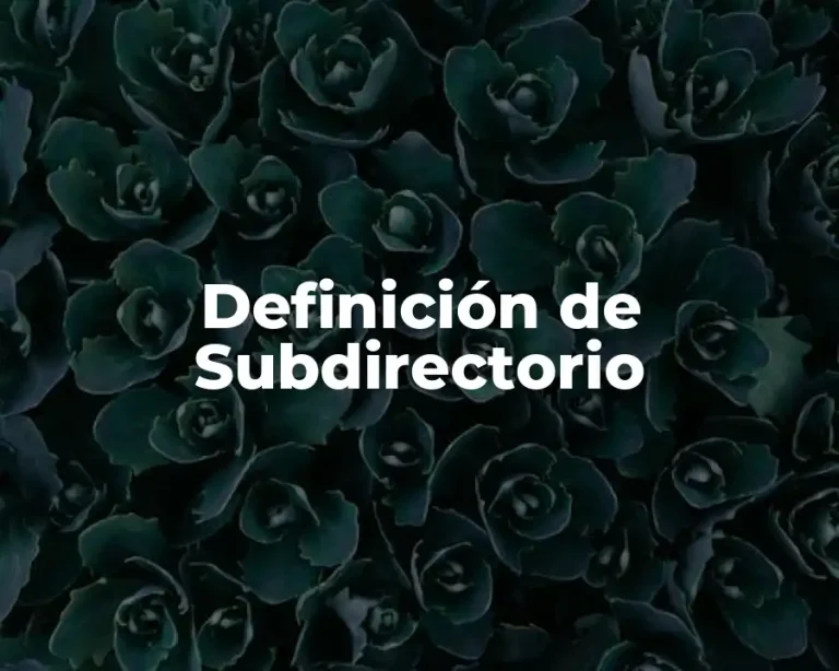 Definición de Subdirectorio