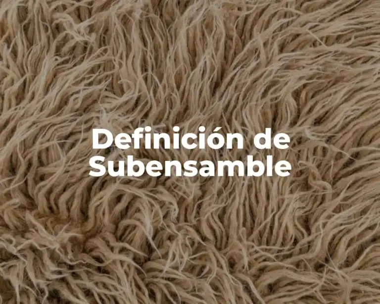Definición de Subensamble