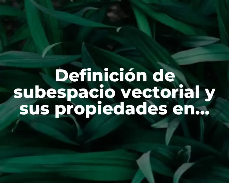 Definición de subespacio vectorial y sus propiedades en algebra lineal