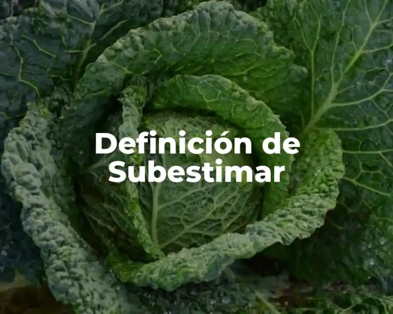 Definición de Subestimar