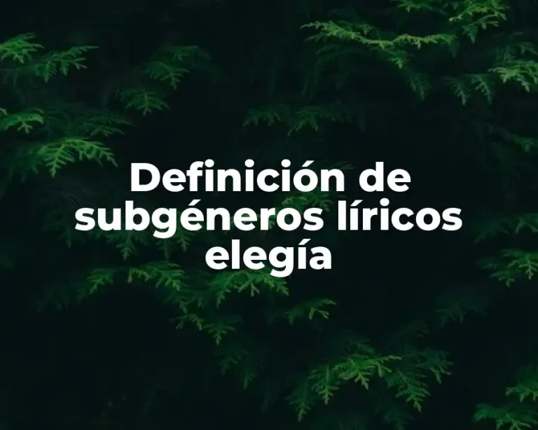Definición de subgéneros líricos elegía