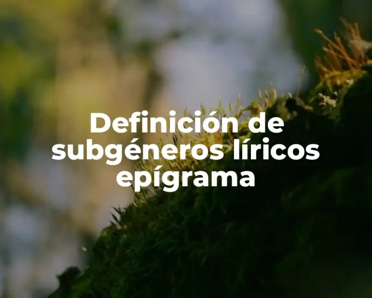 Definición de subgéneros líricos epígrama