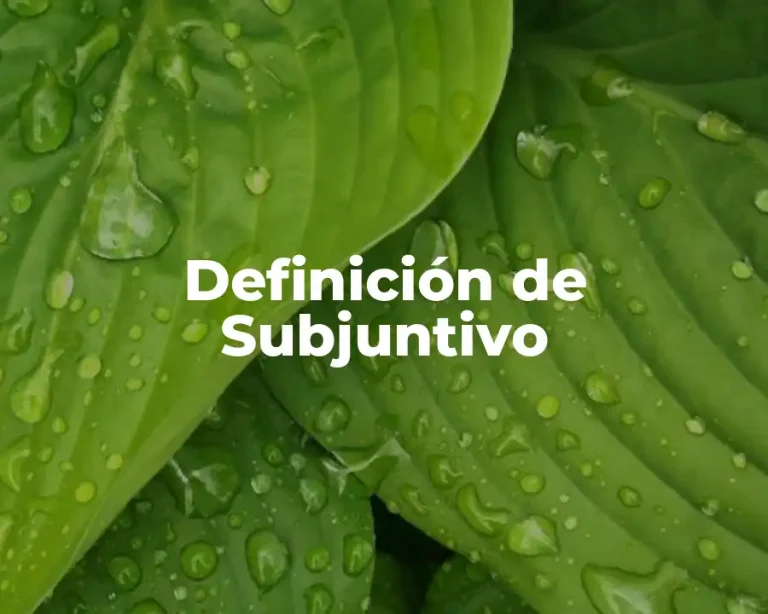Definición de Subjuntivo