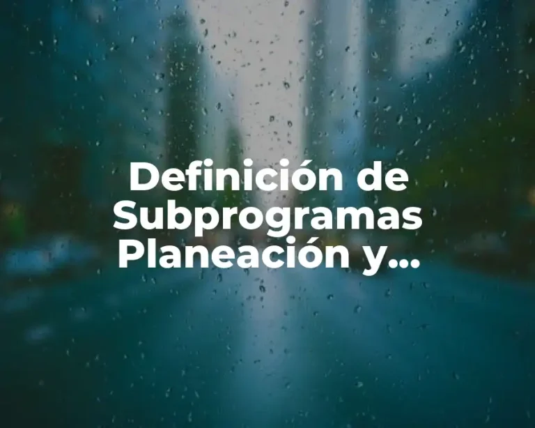 Definición de Subprogramas Planeación y Organización del Trabajo