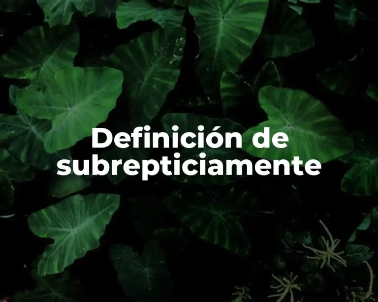 Definición de subrepticiamente