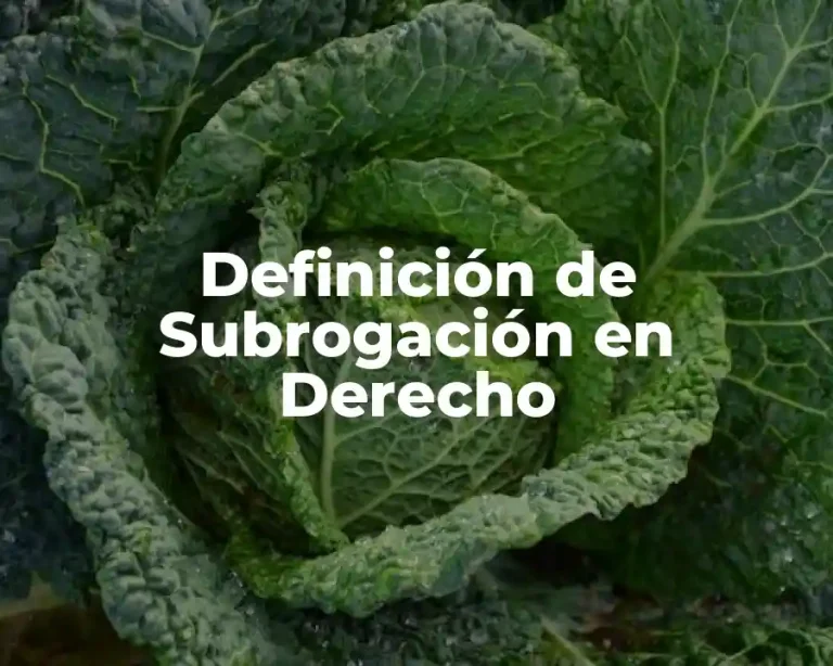 Definición de Subrogación en Derecho
