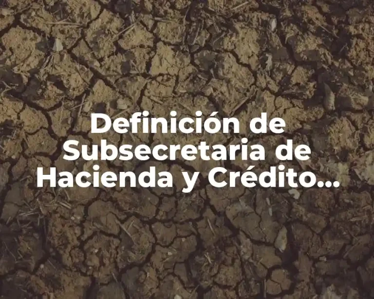 Definición de Subsecretaria de Hacienda y Crédito Público
