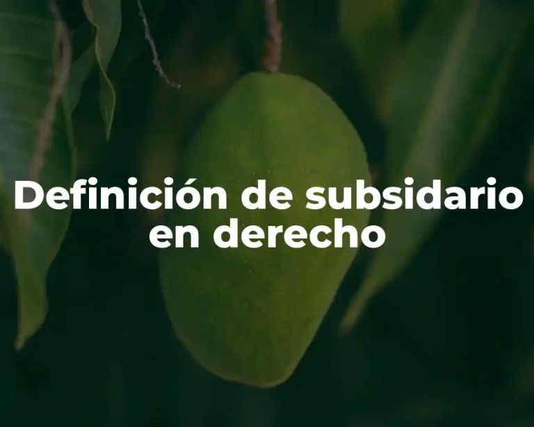 Definición de subsidario en derecho