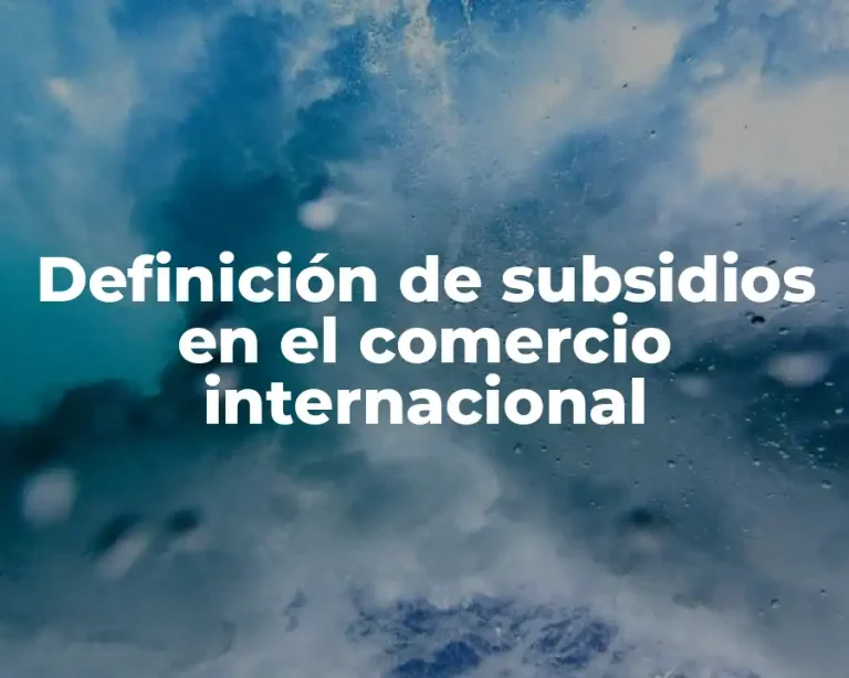 Definición de subsidios en el comercio internacional