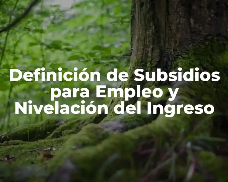 Definición de Subsidios para Empleo y Nivelación del Ingreso