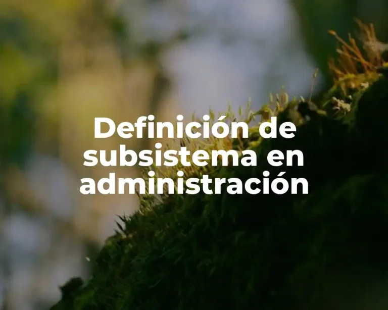 Definición de subsistema en administración