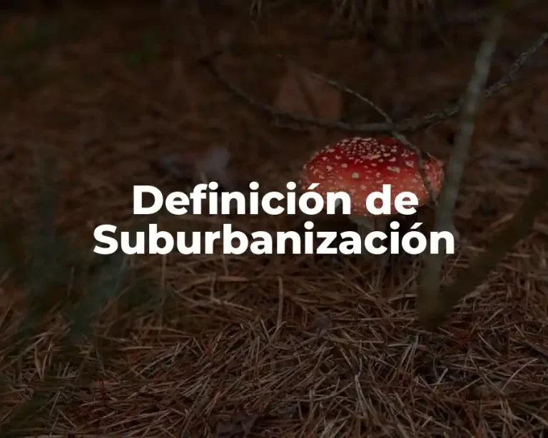 Definición de Suburbanización