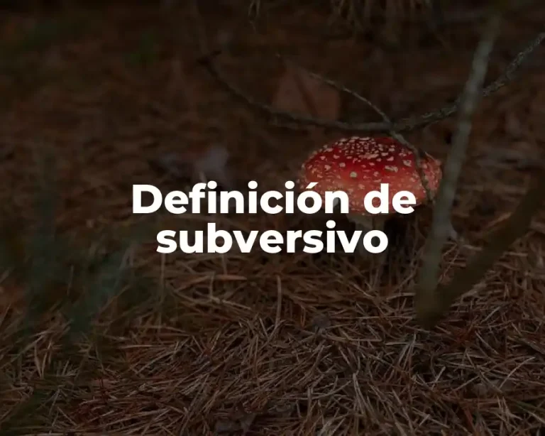 Definición de subversivo