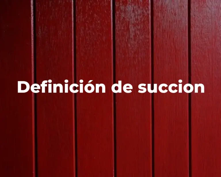 Definición de succion