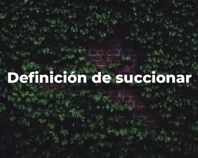 Definición de succionar