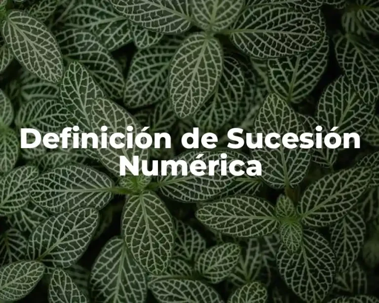 Definición de Sucesión Numérica