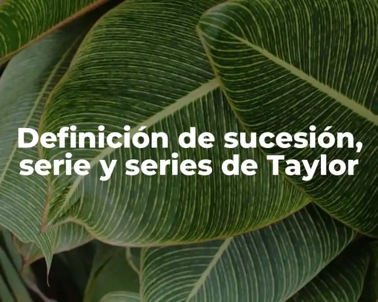 Definición de sucesión, serie y series de Taylor