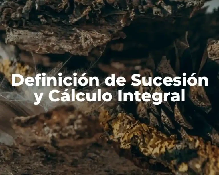 Definición de Sucesión y Cálculo Integral