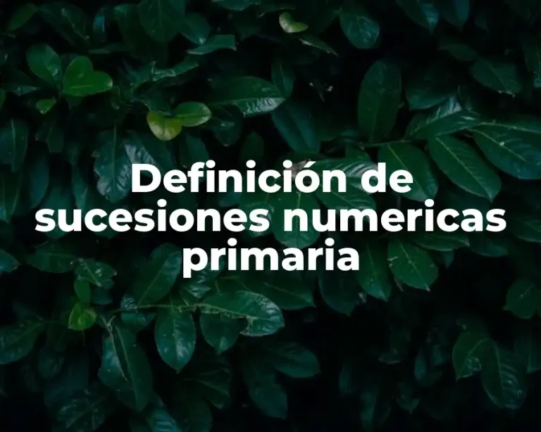 Definición de sucesiones numericas primaria