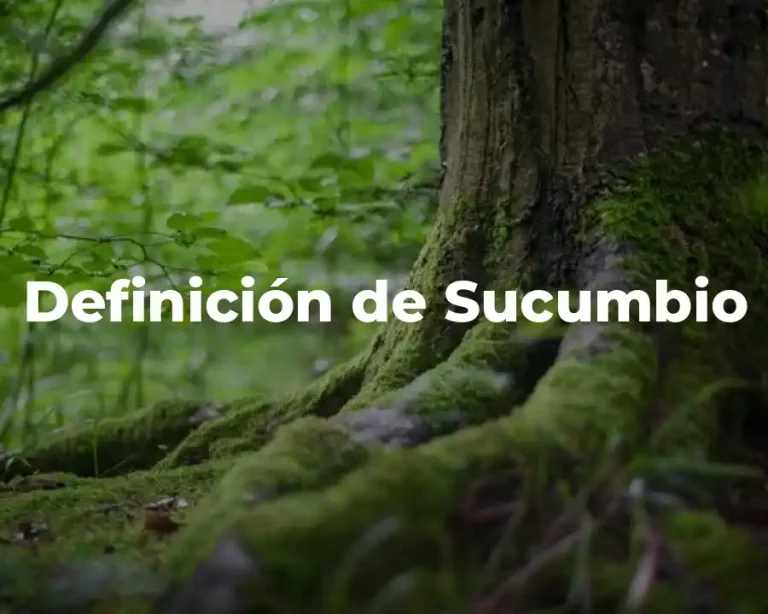 Definición de Sucumbio