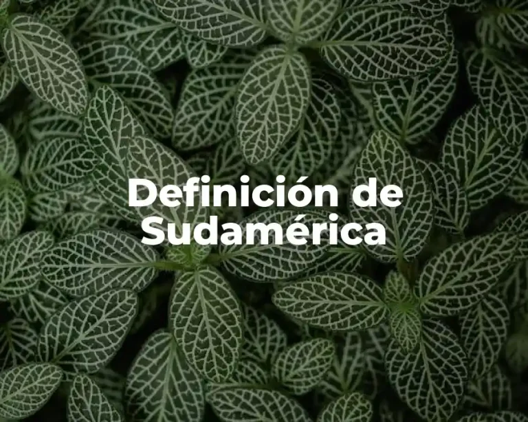 Definición de Sudamérica