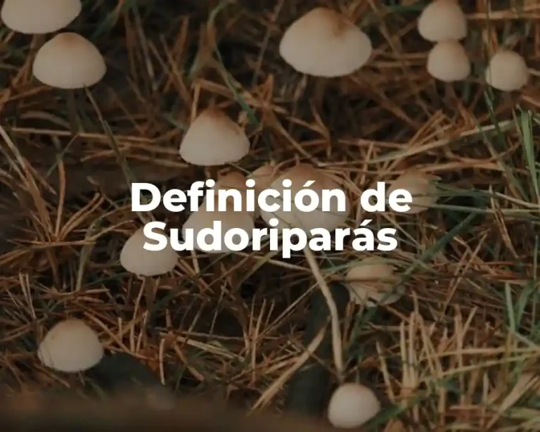 Definición de Sudoriparás