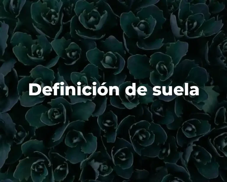Definición de suela