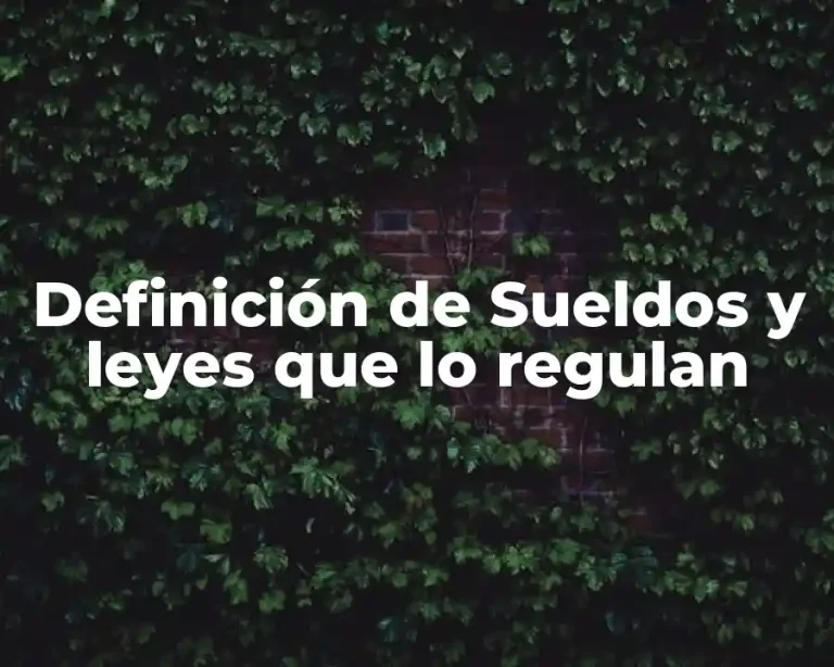 Definición de Sueldos y leyes que lo regulan